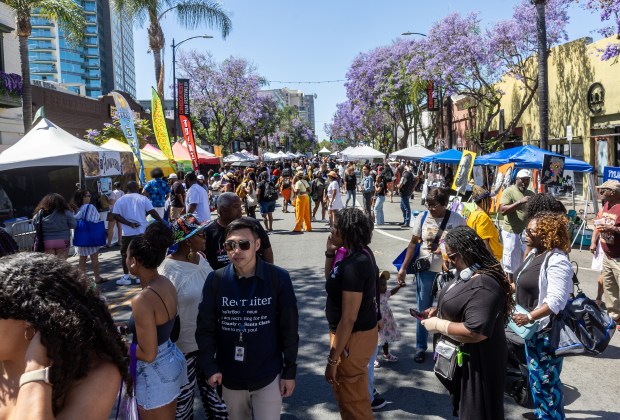 Under a canopy of blooming jacaranda trees, vendor booths fill South First Street at the Juneteenth celebration, Saturday, June 15, 2024, in San Jose, Calif. (Karl Mondon/Bay Area News Group)